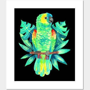 Amazon Parrot Tropical Watercolor Posters and Art